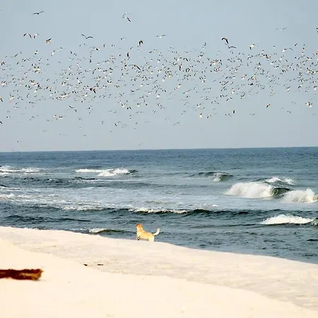 White Pearl 1.05 Apartment *