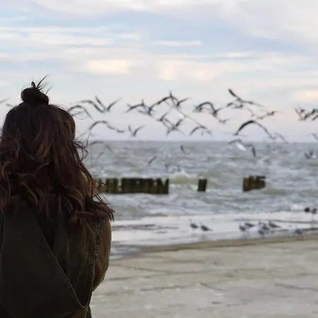 White Pearl 1.05 Apartment *