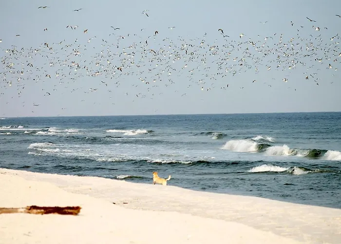 White Pearl 1.05 Lejlighed *