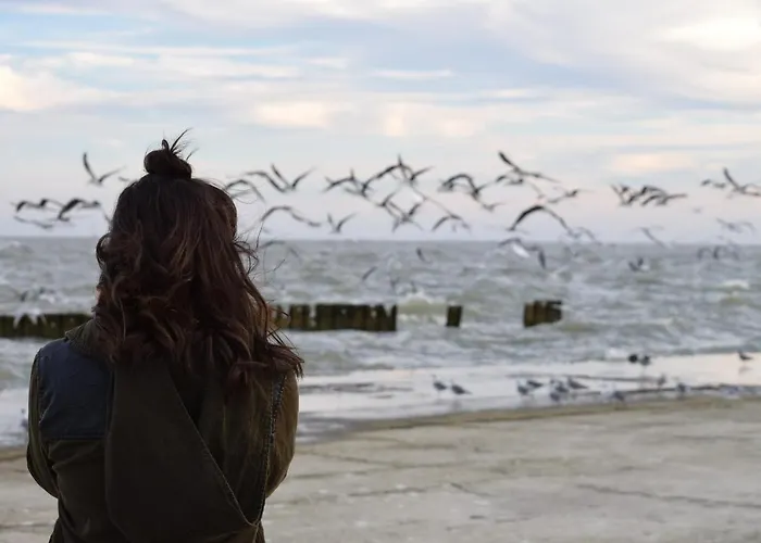 White Pearl 1.05 Lejlighed *